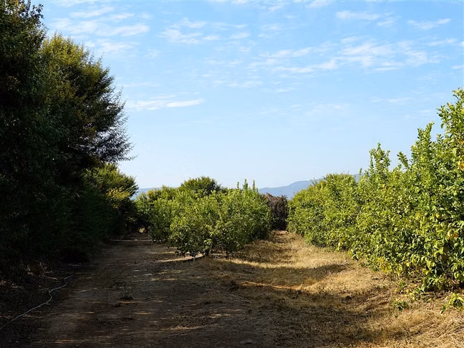 Parcela Agrícola en venta en Lliu Lliu, Limache