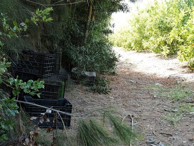 Parcela Agrícola en venta en Lliu Lliu, Limache - Imagen 10