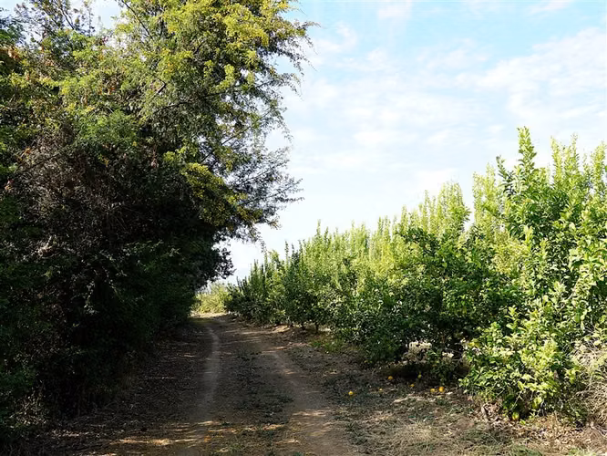 Parcela Agrícola en venta en Lliu Lliu, Limache