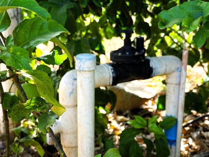Parcela Agrícola en venta en Lliu Lliu, Limache - Imagen 32