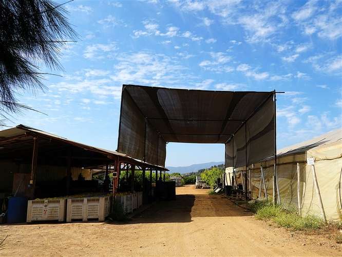 Parcela Agrícola en venta en Lliu Lliu, Limache - Imagen 2