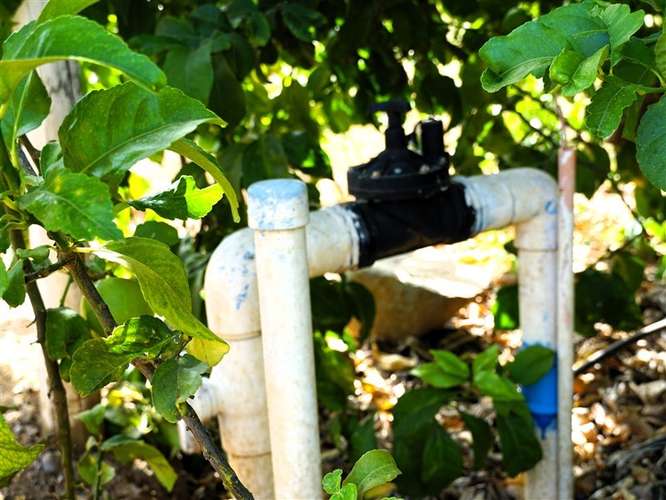 Parcela Agrícola en venta en Lliu Lliu, Limache - Imagen 31