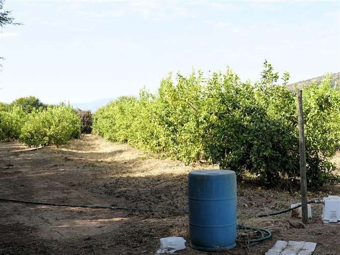 Parcela Agrícola en venta en Lliu Lliu, Limache - Imagen 17