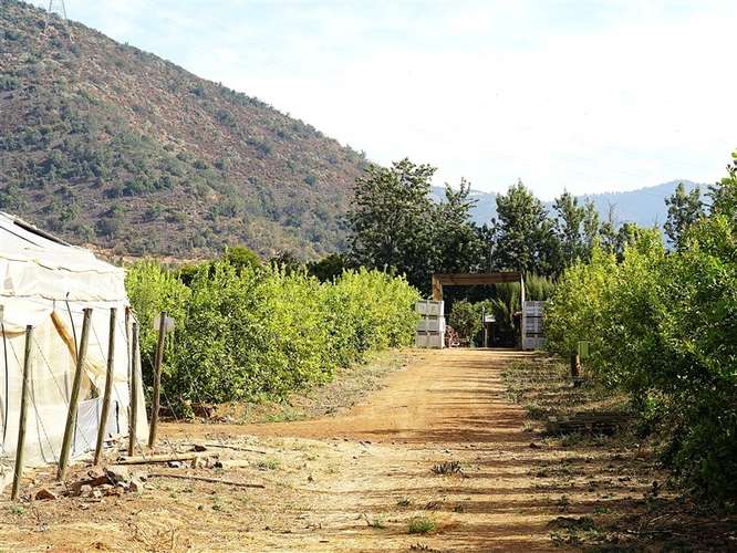 Parcela Agrícola en venta en Lliu Lliu, Limache - Imagen 40
