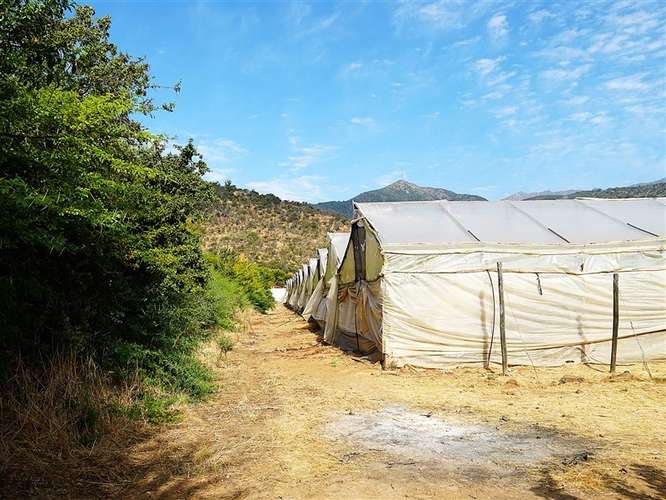 Parcela Agrícola en venta en Lliu Lliu, Limache - Imagen 38
