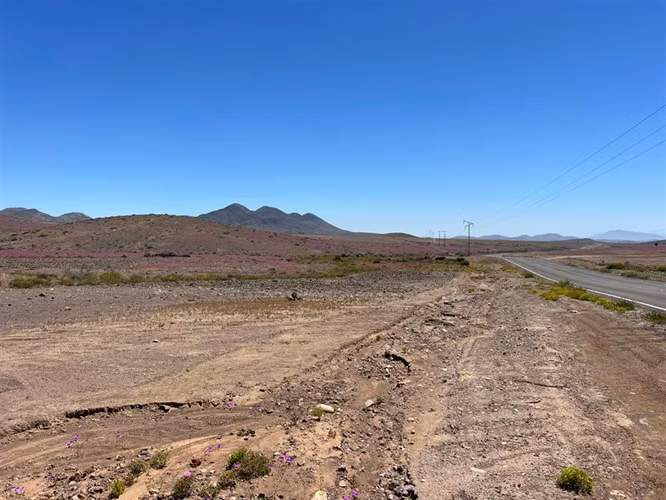 Sitio Industrial / Vallenar 100 Hectáreas Ex Estancia Délano