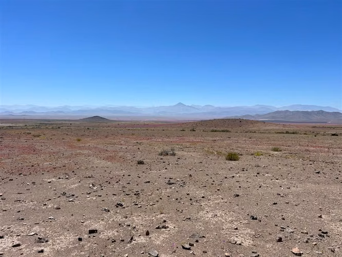 Sitio Industrial / Vallenar 100 Hectáreas Ex Estancia Délano