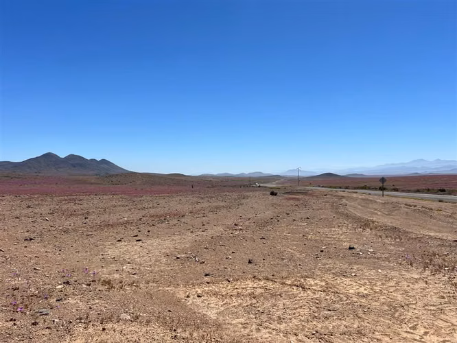 Parcela / Vallenar 100 Hectáreas Ex Estancia Délano