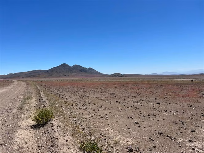 Parcela / Vallenar 100 Hectáreas Ex Estancia Délano