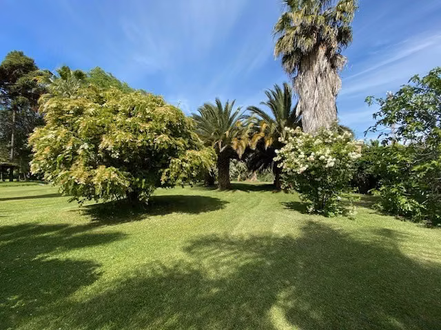 Parcela en venta en Mostazal
