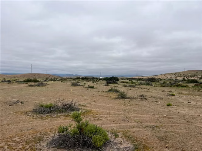 Sitio en venta en Vallenar 50ha acceso directo Ruta 5 - Imagen 10