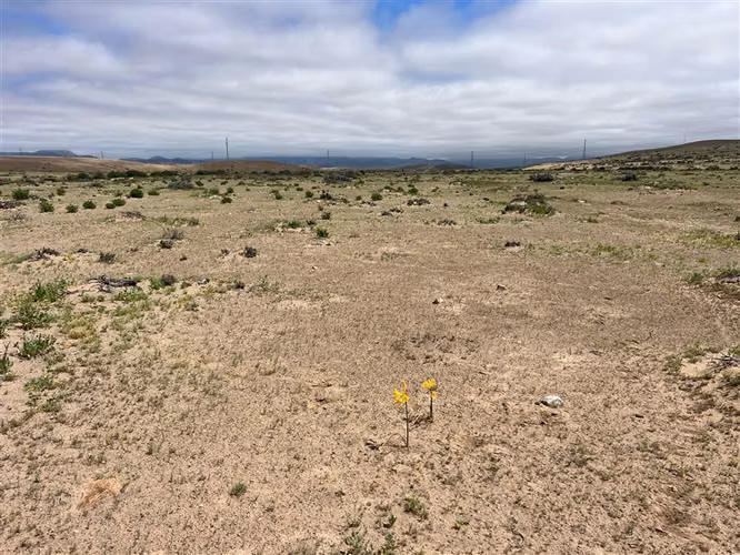 Parcela en venta en Vallenar 50ha acceso directo Ruta 5