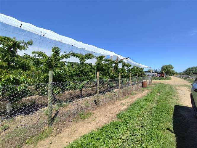 Agrícola en venta en Longaví