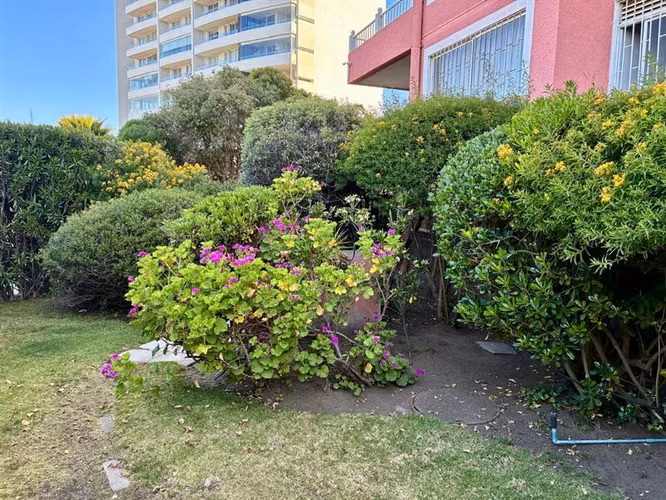 COSTA DE MONTEMAR / 2 DORMITORIOS / 5 MIL METROS DE JARDINES
