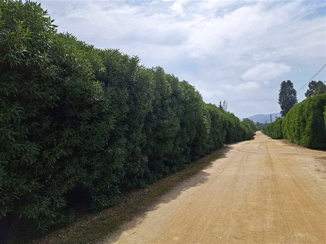 Parcela de 5900m2 en condominio casa 4 dom Baracaldo M.Pinto