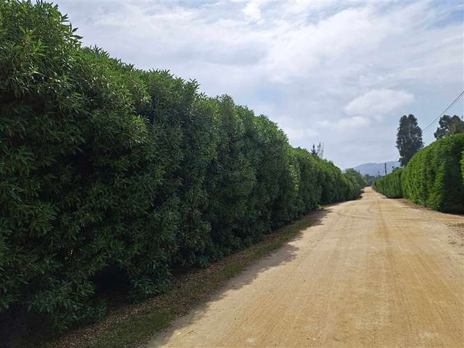 Parcela de 5900m2 en condominio casa 4 dom Baracaldo M.Pinto