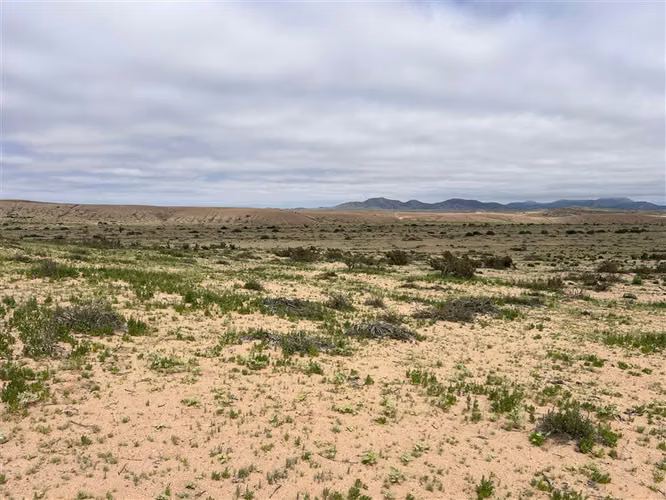 Sitio en venta en Vallenar 50ha acceso directo Ruta 5