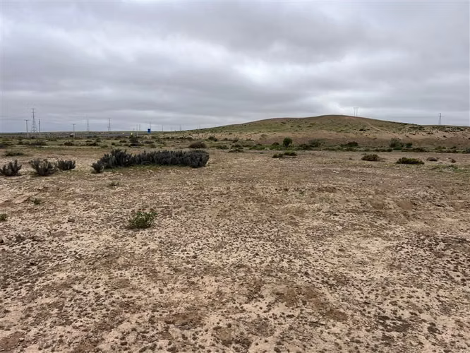 Sitio en venta en Vallenar 50ha acceso directo Ruta 5