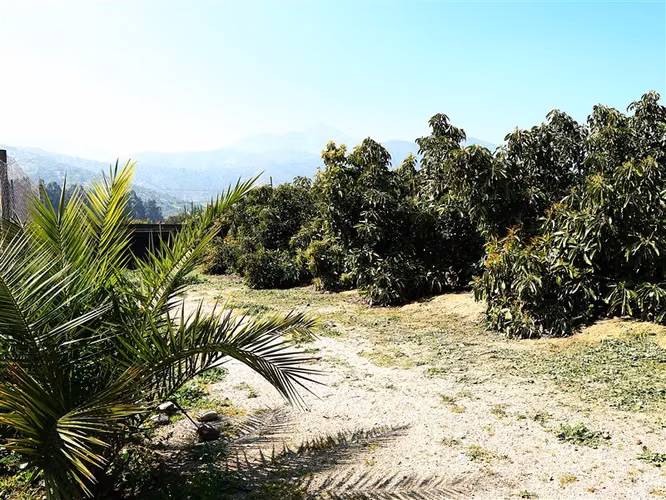 Parcela y casa en venta Sector La Palma - QUILLOTA