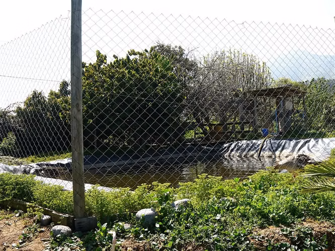 Parcela y casa en venta Sector La Palma - QUILLOTA
