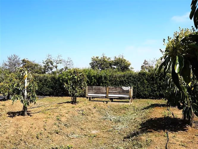 Parcela y casa en venta Sector La Palma - QUILLOTA