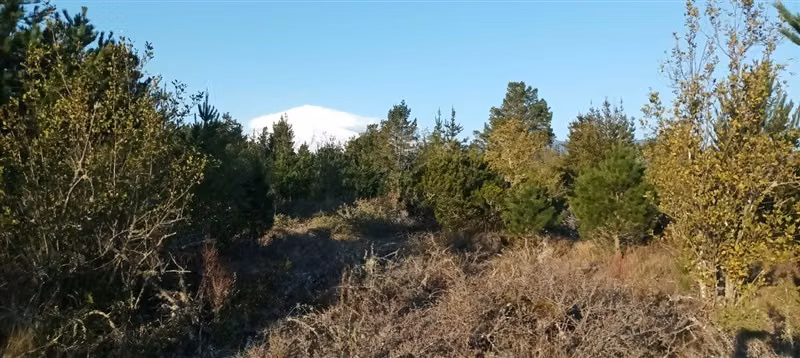 Parcela con vista al Volcan Villarrica, buenos accesos