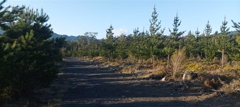 Parcela con vista al Volcan Villarrica, buenos accesos