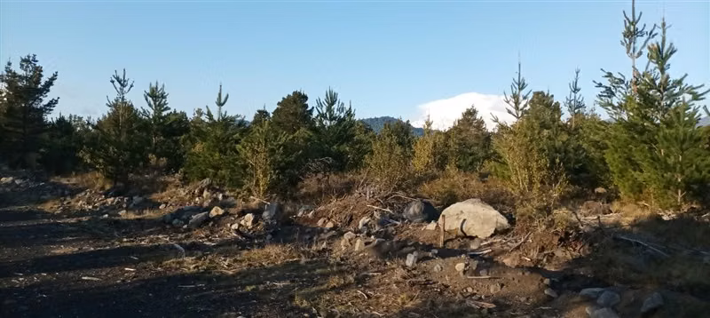 Parcela con vista al Volcan Villarrica, buenos accesos