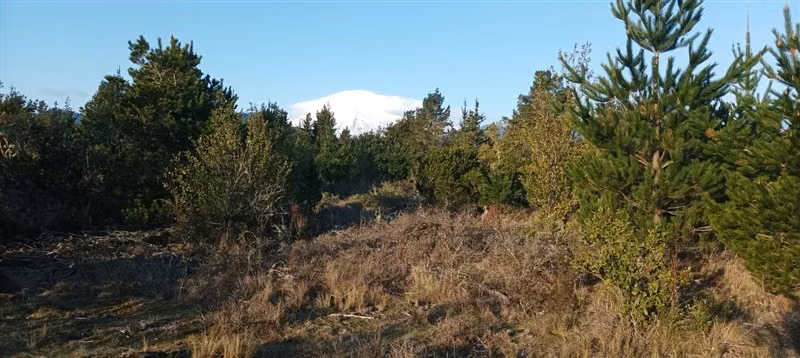 Parcela con vista al Volcan Villarrica, buenos accesos