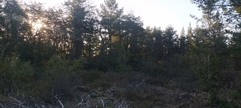 Parcela con vista al Volcan y cerca del Lago Calafquen