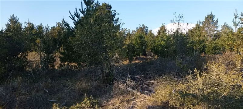 Parcela con vista al Volcan y cerca del Lago Calafquen