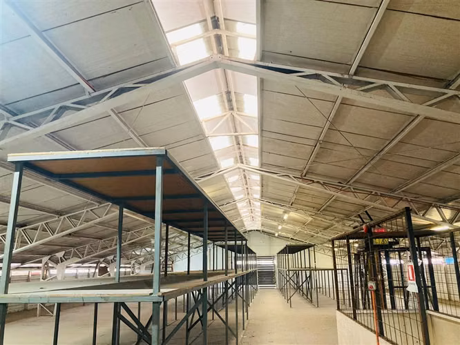 Industrial en arriendo en La Reina - Imagen 31
