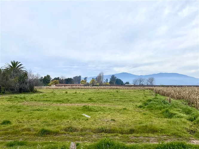 San José de Los Lingues en Venta 8 dorm. en San Fernando
