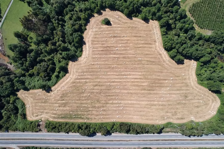 Terreno de 5000 m2 en Venta en Paillaco