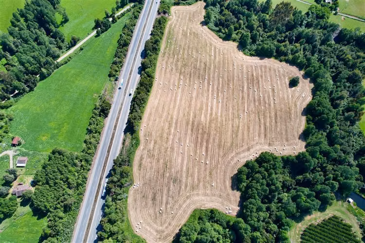 Terreno de 5000 m2 en Venta en Paillaco