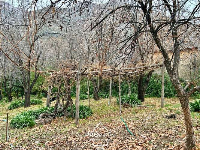 Parcela 5000 m2, 2 casas, borde Ruta G-25, San José de Maipo