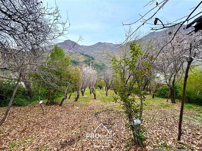 Parcela 5000 m2, 2 casas, borde Ruta G-25, San José de Maipo