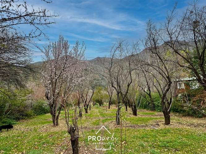 Parcela 5000 m2, 2 casas, borde Ruta G-25, San José de Maipo