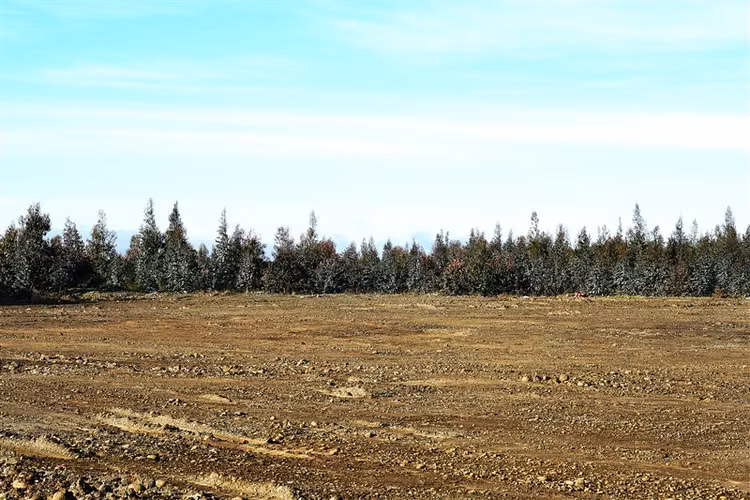 Terreno Construccion  en Venta en Angol