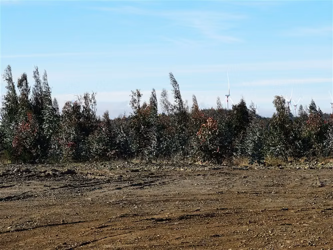 Industrial en Venta en Angol