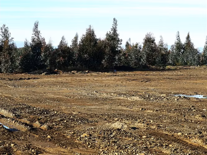 Industrial en Venta en Angol