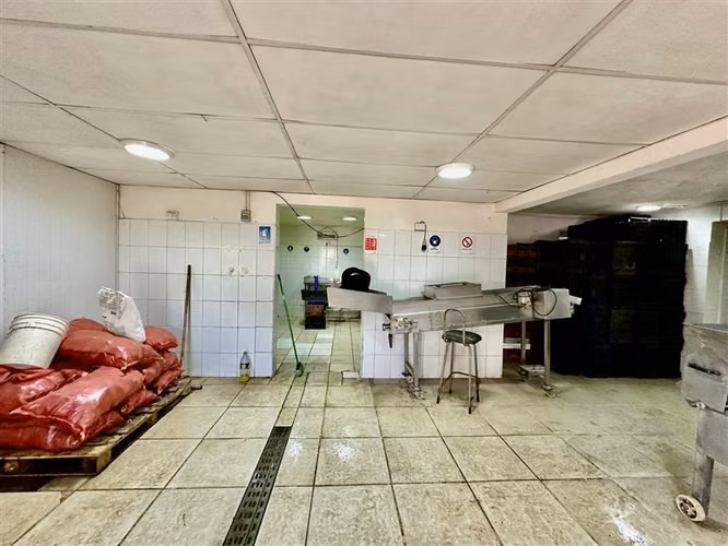 Industrial en venta en Estación Central