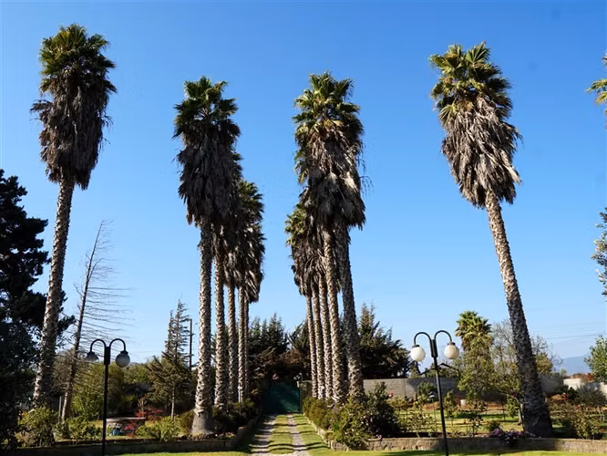 Casa y parcela en venta de 5 dorm. en Quillota
