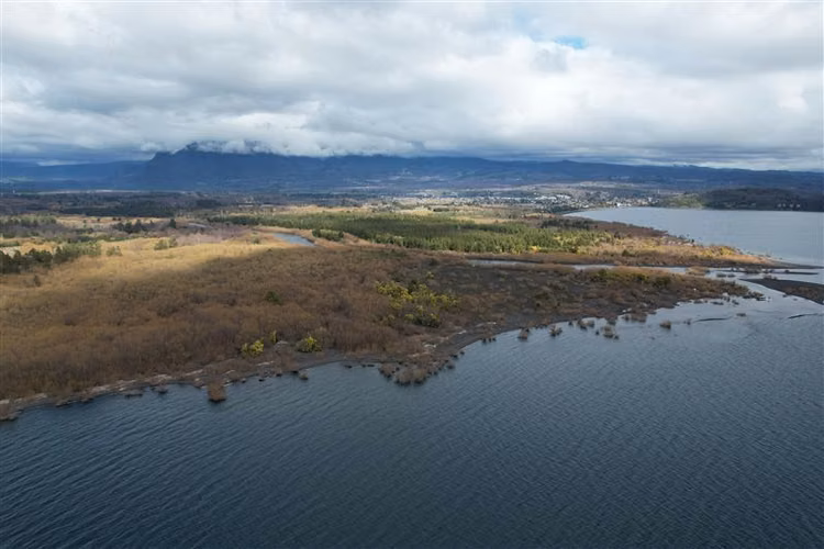 Parcela en venta en Pucón - Imagen 12