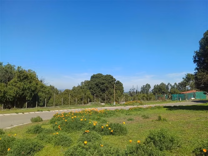 CONDOMINIO URBANIZADO / VALLE ALEGRE