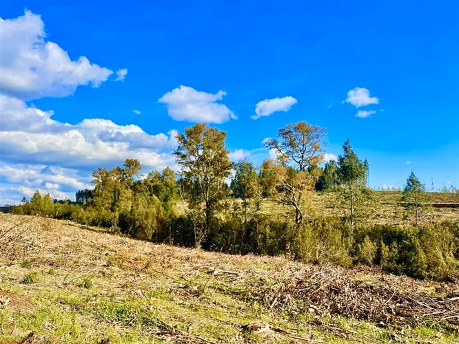 Terreno Construccion  en Venta en Temuco - Imagen 10