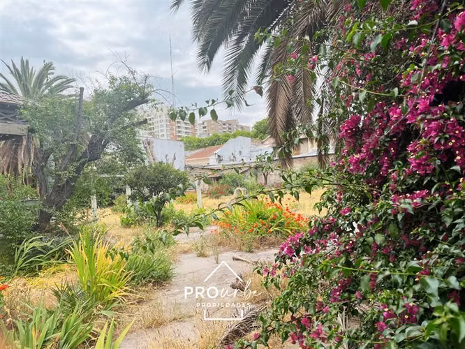 Sitio / terreno en venta Ñuñoa para edificacion 5 pisos DFL2 - Imagen 9