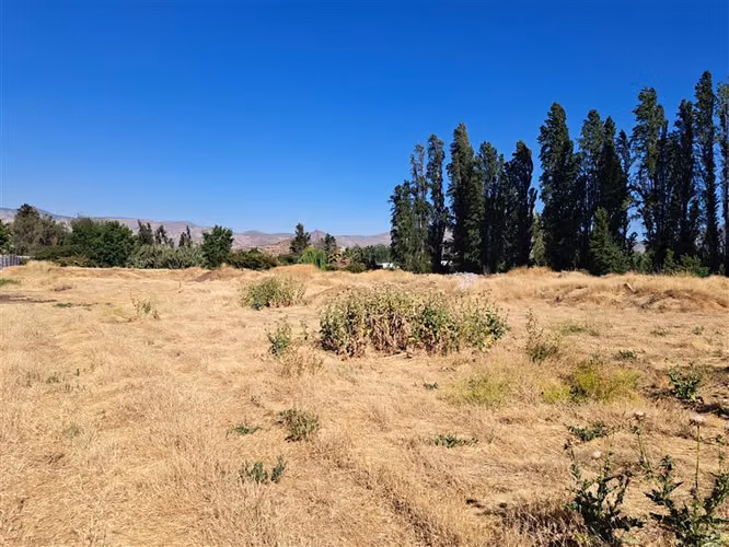 Parcela en Arriendo en Colina