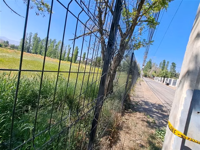 Agrícola en Arriendo en Colina