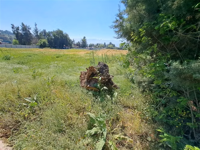Agrícola en Arriendo en Colina